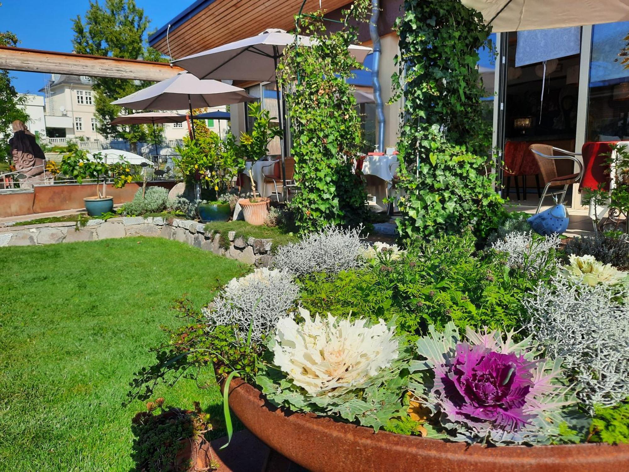 Malerwinkl Restaurant + Kunsthotel Hatzendorf 외부 사진
